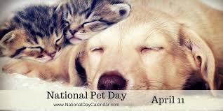 While loving our pets is something we do every day, the. National Pet Day April 11 Pet Day National Pet Day Pets