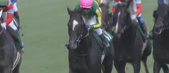 #1078 関屋記念 小倉記念 関屋記念（gⅲ） 小倉記念（gⅲ）. Nztf1kbzcykkmm