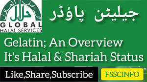 From i.ytimg.com in sunni islam, there are. Gelatin Powder An Overview It S Halal Or Haram Bone Gelatine In Light Of The Shariah Urdu Hindi Youtube