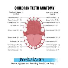 Dental Hygiene And Dental Assisting Tutoring For Students Online 99 3 Success Rate In Helping S Dental Assistant Study Dental Assistant Dental Hygiene School