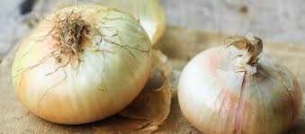 1 cucchiaino di rosmarino (o spezie miste per arrosto/patate). Cipolla Giarratana Squisita Tipologia Proveniente Dalla Sicilia