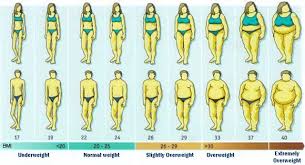 Bmi Visual Graph See The Body Mass Index Visually