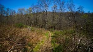 After a week's worth of concert going and bad for me dinners, my cousin cindy and i headed out to settler's cabin park for some reinvigorating hiking! Settlers Cabin Park An Easy Hike To A Mini Waterfall