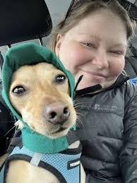 Harry Wine & Liquor, 11183 157th St, Jamaica, NY 11433, US