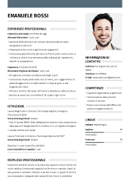 Esempi Di Cv Per Essere Assunto Cameriere Ilcvperfetto