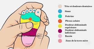 Also, martial artists regularly massage their own acupressure points in routines to remove supposed. Reflexologie Plantaire Pour Calmer Un Bebe