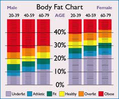 Body Fat Percentage