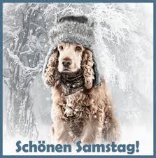 Oder poste die lustigen kostenlosen animationen (im beliebten.gif format) und anigifs auf deiner homepage oder facebook chronik bzw. Gifs Einen Schonen Sonntag 90 Animierte Bilder Kostenlos