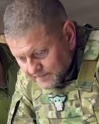 Dr Simon Wilkins 🇺🇦 (@cerealk777)