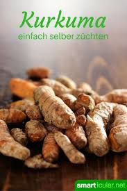 Heilsames Kurkuma Selbst Anbauen Und Vermehren Kurkuma Zuchten Rohkost Rezepte