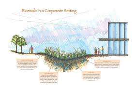 Bioswale Landscape Plans Wastewater Treatment Plant Easy Landscaping