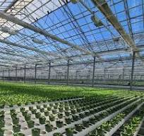 Greenhouse Gutters for Greenhouse Systems