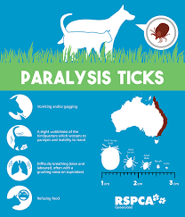 Image result for Tick Paralysis