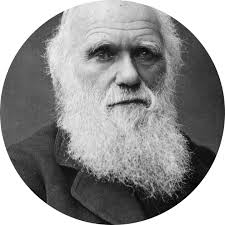 Zréck op UX Deeg 2024!