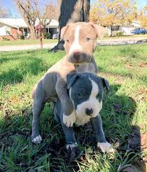 Terri McClellan (@mcclellan_terri)