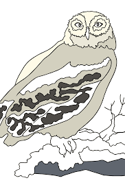 Free printable dinosaur coloring pages scroll down the page to see all of our printable dinosaur pictures. Print Coloring Pages With Animals In The Snow And Ice