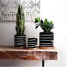 Black And White Flower Pot Ceramic Pot Black And White Stripes In 2020 Painted Flower Pots Painted Plant Pots White Flower Pot