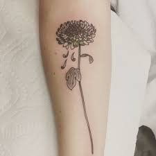 Chrysanthemum Tattoo Chrysanthemum Tattoo Tattoos Mini Tattoos