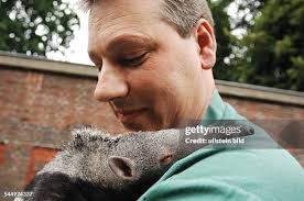 81 Thomas Messinger Photos & High Res Pictures