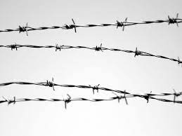 What Makes You Special Barbed Wire Tattoos Barbed Wire Drawing Barbed Wire Art