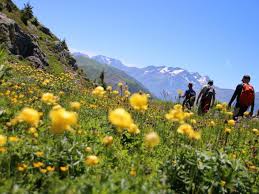 Hormis le fait que vous pourrez admirer des paysages magnifiques durant vos vacances à la montagne, vous pouvez aussi vous adonner à diverses activités ludiques. Vivre Ses Premieres Vacances A La Montagne Office De Tourisme D Oz En Oisans