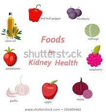 The 20 Best Foods For People With Kidney Disease Foods Good For Kidneys Kidney Recipes Food
