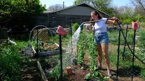 Invite everyone in the neighborhood to participate from the very beginning. Community Gardens In Austin How To Start Where To Volunteer Tips