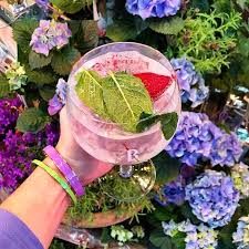 Fevertreemixers Gin Garden At Horseguardsldn The Perfect After Work Drinks Spot In Westminster In My Glass Monkey47 Dr After Work Drinks Dry Gin My Glass
