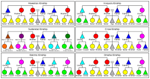 Kinship Wikiwand