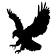 Nighthawk Flight Systems, Inc.