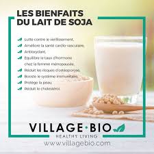 Les Bienfaits Du Lait De Soja Aliments Bons Pour La Sante Lait De Soja Alimentation Et Sante