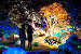 Botanical Gardens Lights St Louis