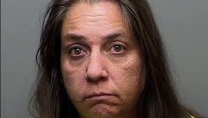 High-speed chase suspect arrested in Wellington