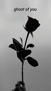 Gallery wrap canvas, framed fine art prints, framed canvas art Aesthetic Black Rose Wallpaper With Quotes Novocom Top