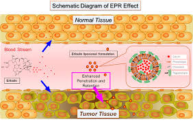 Image result for Eribulin