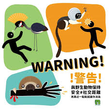 9qrcode.com là website tạo mã qr trực tuyến miễn phí và nhanh chóng. ç±å¨ç©å°±è¦å­¦ä¹ å°é ä¿æç¤¾äº¤è·ç¦»é¡¾å®å¨ å°åææ¸¸ç½'