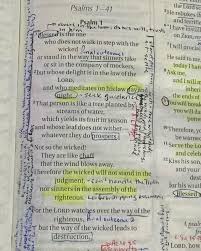 Chris Colotti (@_vertedintro) • Instagram photos and videos