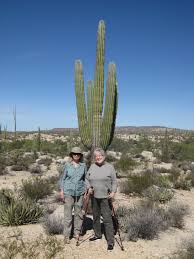 Sal Gal Central — LiveJournal