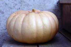 We did not find results for: Hail To The Long Island Cheese Pumpkin Out East Foodie