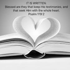 I Believe God I Believe The Word I Believe In Love God Is The Word And God Is Love Bible Scripture Truth I Live By These Psalms Gods Love God Is