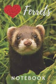 Ferret Notebook: cute ferrets gift for children who love animals (blank  lined notebook) pet notepad for girls / best for writing stories, notes and  ... / journal for journaling / ferret journal: