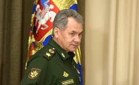 Фотографии, подробно о семье, видео, последние новости 2021 на портале узнайвсё V Seti Ocenili Slova Shojgu O Glave Minoborony Germanii Ia Regnum