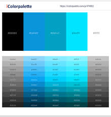 250 Latest Color Schemes With Black And White Color Tone Combinations 2021 Icolorpalette