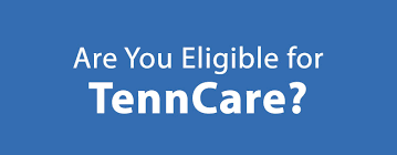 are you eligible for tenncare healthtn com