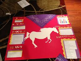 Science Fair Project Does A Horse Mirror Human Emotion Science Fair Projects Science Fair Fair Projects