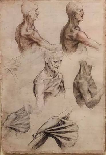 How to draw like Leonardo. Artist Adebanji Alade went to Windsor Castle to  find out more about Leonardo da Vinci's drawings from Martin Clayton, Head  of Prints and Drawings at Royal Collection