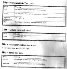 Printable science worksheets for teachers. The City School Grade 3 Science Reinforcement Worksheets