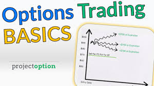 Think of how options trading works in terms of selling a car to a private buyer. Learn Options Trading Basics 9 Easy To Understand Guides Projectoption
