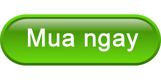 Dây cáp điện Cadivi CV 6.0 giá bao nhiêu?