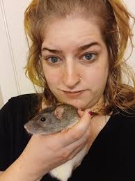 Rehoming 4 bonded male rats in North Seattle